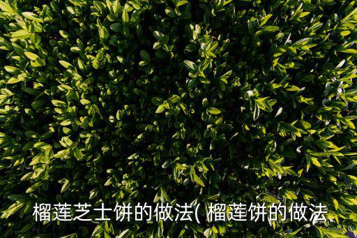  榴蓮芝士餅的做法( 榴蓮餅的做法