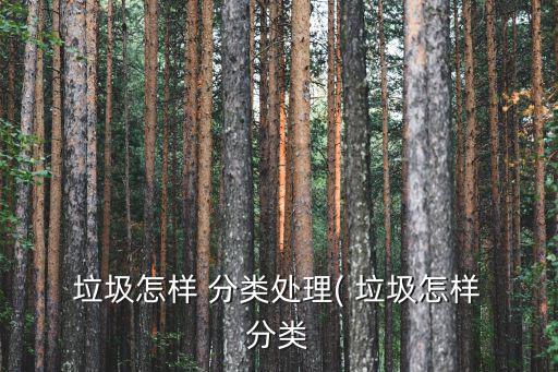  垃圾怎樣 分類處理( 垃圾怎樣 分類