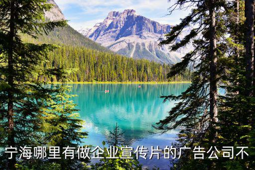 寧海哪里有做企業宣傳片的廣告公司不