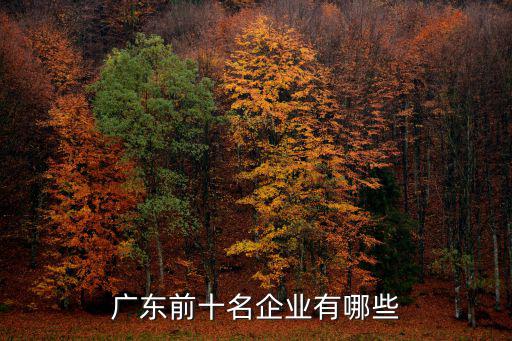 廣東前十名企業(yè)有哪些