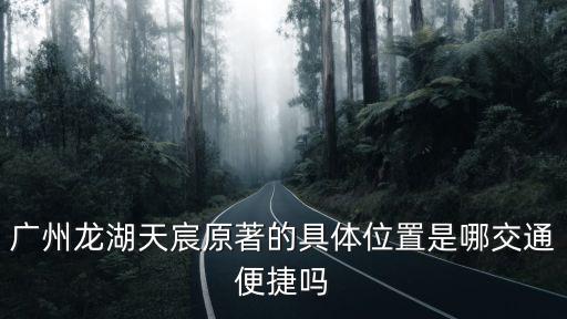 廣州龍湖天宸原著的具體位置是哪交通便捷嗎