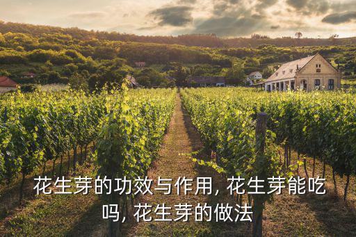  花生芽的功效與作用, 花生芽能吃嗎, 花生芽的做法