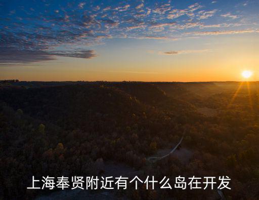 上海奉賢附近有個什么島在開發