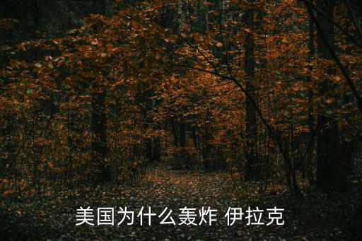 美國為什么打伊拉克,美國要想占領(lǐng)中東伊朗是個大問題