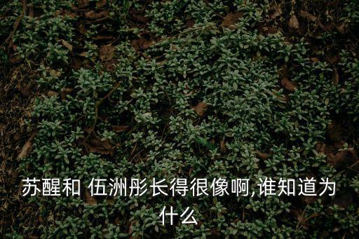 伍洲彤,陳紅高難度歌曲獲觀眾掌聲