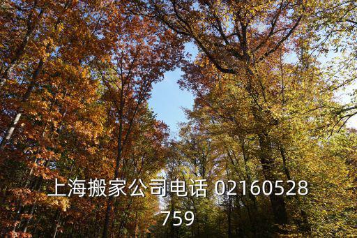上海搬家公司電話 02160528759