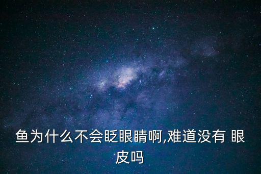 魚有眼皮嗎,因為沒有眼皮所以魚不會眨眼