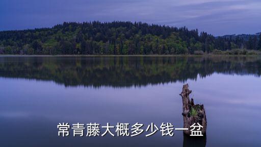 實(shí)地廣州常春藤房?jī)r(jià)，山東東平縣常春藤小區(qū)現(xiàn)在小高層的房?jī)r(jià)是多少啊