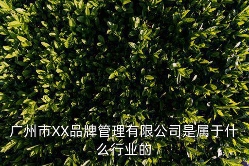 廣州市XX品牌管理有限公司是屬于什么行業的