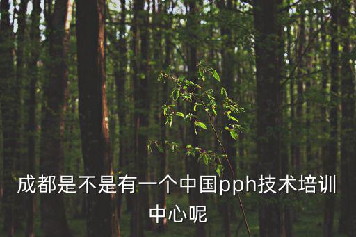 成都是不是有一個中國pph技術培訓中心呢