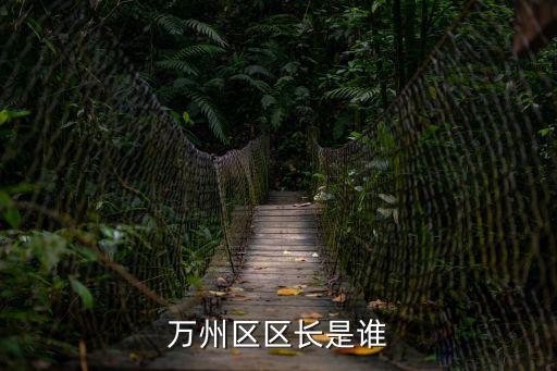 萬州區(qū)區(qū)長是誰