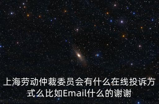 上海勞動仲裁委員會有什么在線投訴方式么比如Email什么的謝謝