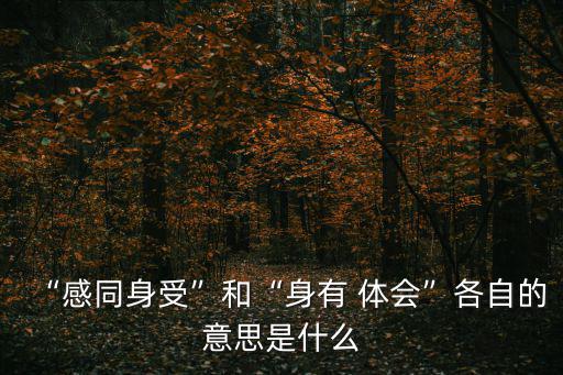 深有體會,雖未親身經歷但感覺到曾經經歷過