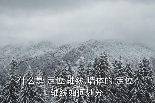 什么是 定位 軸線,墻體的 定位 軸線如何劃分
