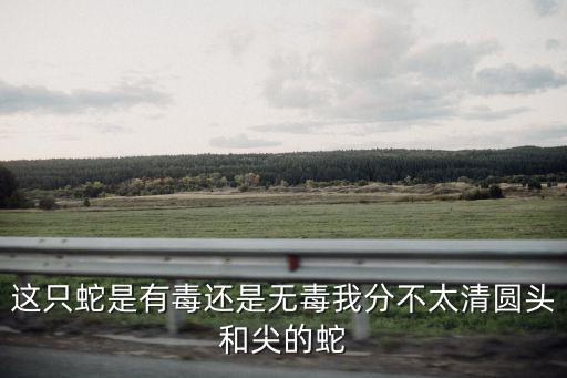 這只蛇是有毒還是無毒我分不太清圓頭和尖的蛇