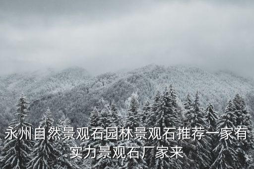 永州自然景觀石園林景觀石推薦一家有實力景觀石廠家來