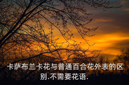 卡薩布蘭卡花,送你一堆卡薩布蘭卡花幸福是它唯一意義
