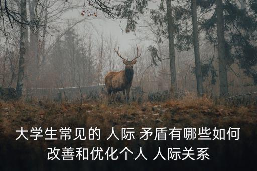 大學生常見的 人際 矛盾有哪些如何改善和優化個人 人際關系