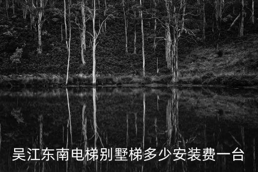 吳江東南電梯別墅梯多少安裝費一臺