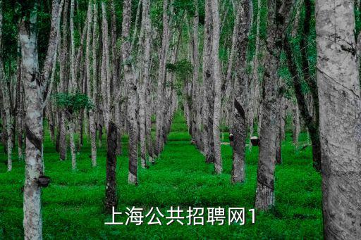 上海公共招聘網(wǎng)1