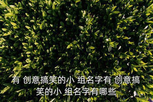 有 創(chuàng)意搞笑的小 組名字有 創(chuàng)意搞笑的小 組名字有哪些