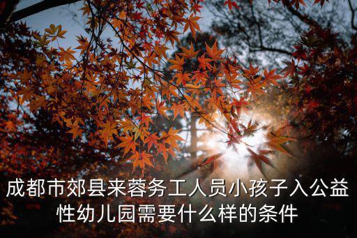 成都市郊縣來(lái)蓉務(wù)工人員小孩子入公益性幼兒園需要什么樣的條件