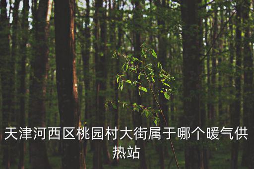 天津河西區桃園村大街屬于哪個暖氣供熱站