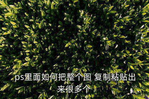 ps如何復制圖片,pshowto復制圖像濾鏡如何操作?