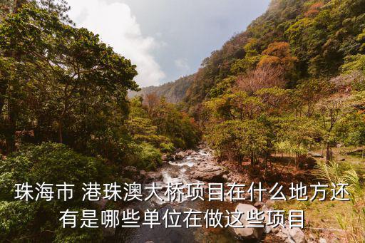 珠海市 港珠澳大橋項目在什么地方還有是哪些單位在做這些項目