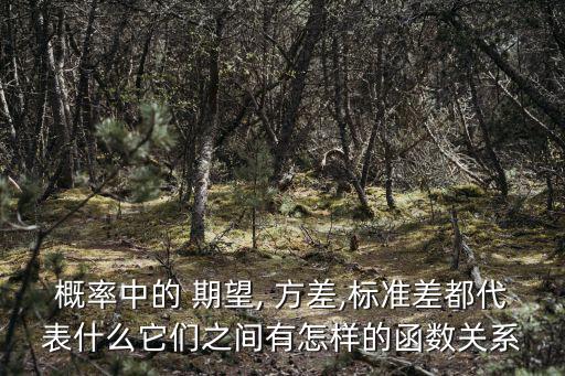 概率中的 期望, 方差,標(biāo)準(zhǔn)差都代表什么它們之間有怎樣的函數(shù)關(guān)系