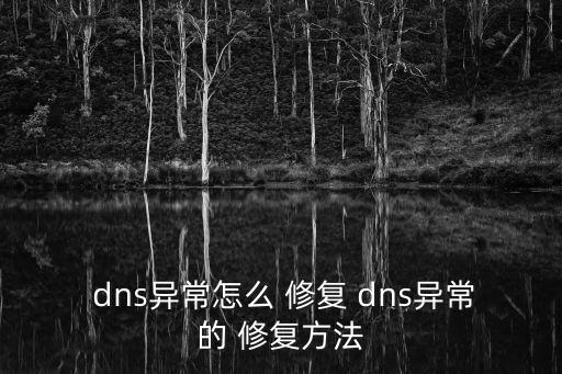 如何修復(fù)dns,本地網(wǎng)絡(luò)怎么用tik