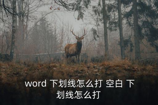  word 下劃線怎么打 空白 下劃線怎么打