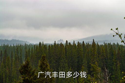 廣汽豐田多少錢