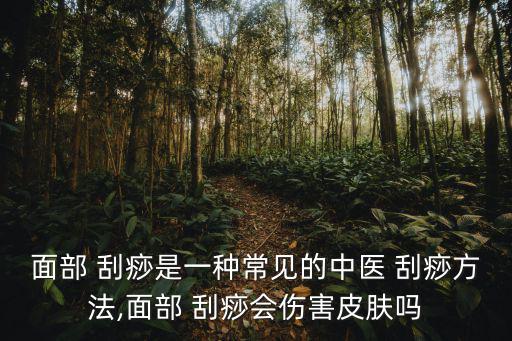 面部 刮痧是一種常見的中醫 刮痧方法,面部 刮痧會傷害皮膚嗎
