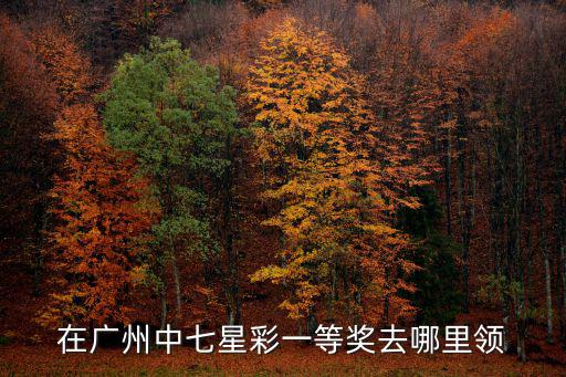 在廣州中七星彩一等獎去哪里領