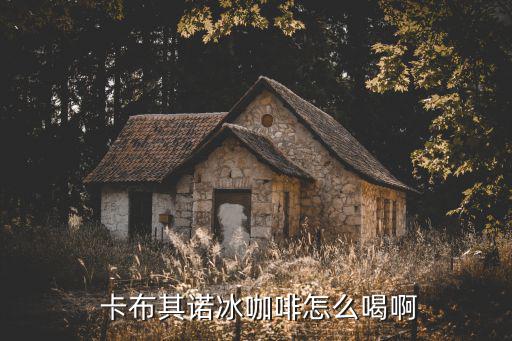  卡布其諾冰咖啡怎么喝啊
