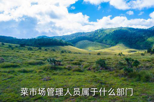 天津市老龍頭菜市場主管單位，菜市場管理人員屬于什么部門