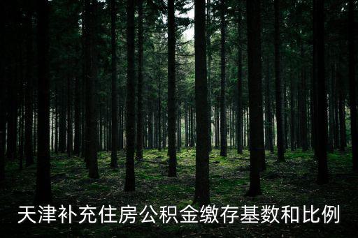天津補(bǔ)充住房公積金繳存基數(shù)和比例