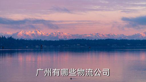 廣州有哪貨運公司，廣州市的貨運公司