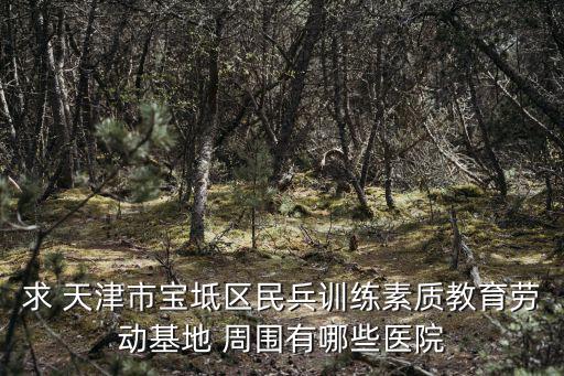 天津市寶坻區脲醛樹脂粘合劑，天津市寶坻區寶立發食品廠的地址