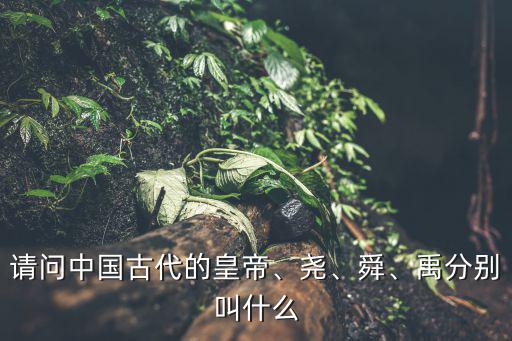 唐堯是誰,帝堯娶了堯舜和兩個女兒