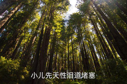小兒先天性淚道堵塞