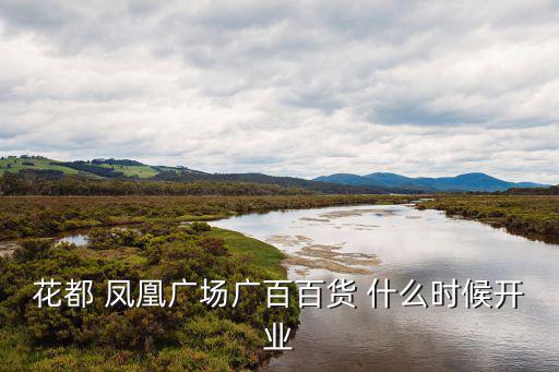 花都 鳳凰廣場廣百百貨 什么時候開業(yè)