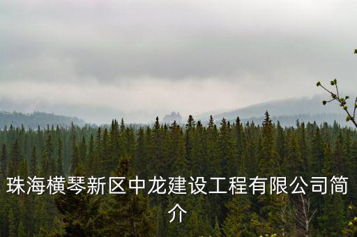 珠海橫琴新區(qū)中龍建設工程有限公司簡介
