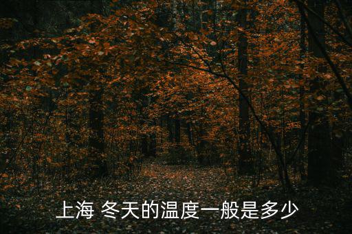  上海 冬天的溫度一般是多少
