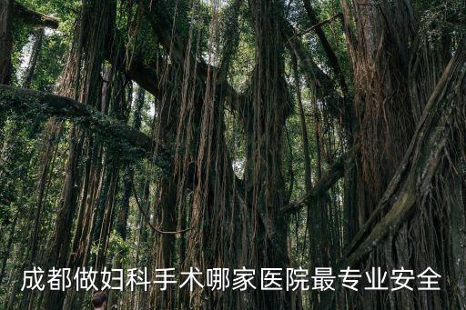成都做婦科手術哪家醫院最專業安全