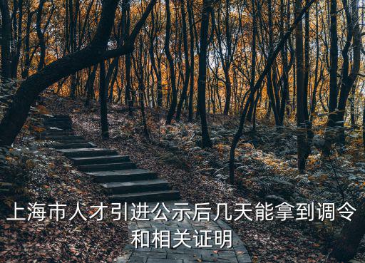 上海擬聘人員公示，上海市人才引進公示后幾天能拿到調令和相關證明