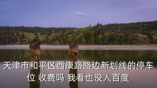 天津市和平區西康路路邊新劃線的停車位 收費嗎 我看也沒人百度