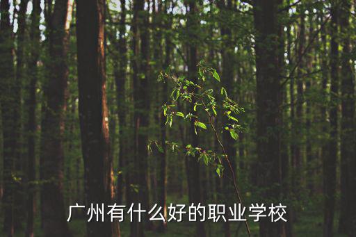 廣州有什么好的職業學校