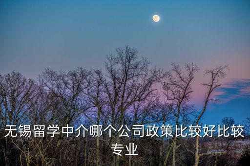 無錫留學中介哪個公司政策比較好比較專業